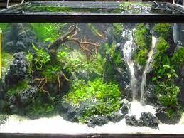 Apakah Anda Pernah Lihat Aquarium Yang Didalamnya Ada Air Terjun Mungkin Anda Akan Sangat Heran Kog Bisa Ada Air Terjun Didalam Fish Tank Aquascape Aquarium