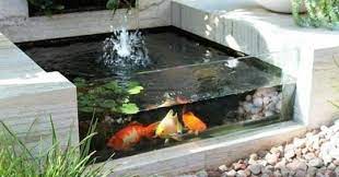 Kolam koi natural terbaik yang ada dibandung bongkar harga biaya pembuatan kolam koi natural. Kolam Minimalis Dengan Kaca Dan Air Terjun Tukang Kolam Koi Di Sidoarjo Dan Gresik Garden Style