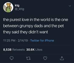 The Definition Of Purity Https Ift Tt 2uwyiwb Positive Memes Stupid Funny Memes Good Jokes
