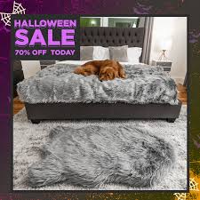 4.8 out of 5 stars 34. Halloween Sale Waterproof Washable Memory Foam Dog Bed Orthopedic Dog Bed Best Orthopedic Dog Bed Dog Bed Luxury
