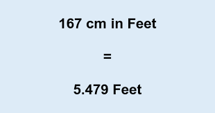 167 Cm In Feet 167 Centimeters To Feet First, you should convert 167 cm to inches. 167 cm in feet 167 centimeters to feet