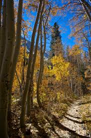 Po box 321, big pine, ca 93513. Rv Campground Review Glacier Lodge Big Pine Ca My California Dreamin