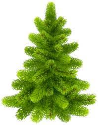 Pine Tree Png Clip Art Best Web Clipart Clip Art Free To Use Images Christmas Tree Decorations