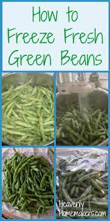 Putting Up Green Beans For Winter Heavenly Homemakers