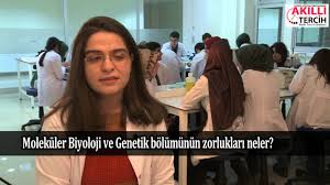 Türkiye'nin akredite olan i̇lk moleküler biyoloji ve genetik bölümü. Molekuler Biyoloji Ve Genetik Bolumunun Zorluklari Var Mi Youtube