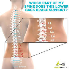 Your upper and lower leg are connected by a hinge joint. Pin On Lumbar Spinal Stenosis