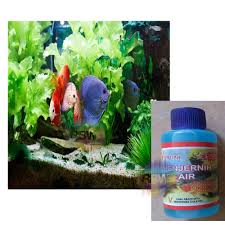 Cara ini mungkin agak terlalu manual/jadul (ibarat motor) hhee.tp ini sangat murah dan hemat di dan efektif banding beli 1l obat penjernih kolam seharga 200rb'an. Jual Penjernih Air Aquarium Akuarium Aquascape Penjernih Air Kolam Ikan Koi Penjernih Air Mencegah Stress Dan Penyakit Ikan Koki Rainbow Shop