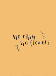 Tumblr Quotes Orange Red Quotes Tumblr | Dogtrainingobedienceschool.com