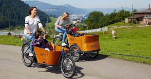 Hier Finden Sie Lasten Cargo E Bikes Aus 2020 Von Babboe Bh Gazelle Hercules Riese Muller Urban Arrow Winora In 2020 Babboe Lastenfahrrad Gazellen