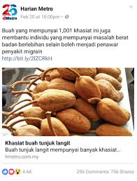 Ketahuilah rahsia serta kebaikan dan khasiat buah tunjuk langit. Cara Mudah Dan Berkesan Menghilangkan Kencing Manis Cara Mudah Dan Berkesan Menghilangkan Kencing Manis