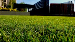 Lawnmore has been delivering excellence by design in gainesville, fl for over 20 years. Mike S Lawn Care Home Repair