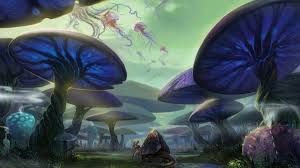 4572965 Fantasy Art Jellyfish Magic Mushrooms Wallpaper Mocah Org