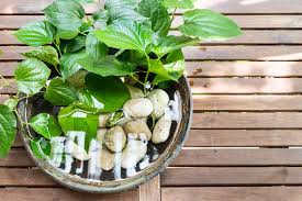 There are a number of complementary approaches. How To Get Rid Of Mosquitoes Naturally And Reclaim Your Backyard