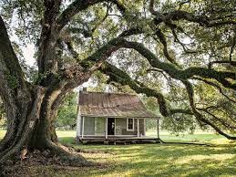 Feels like a cabin on the lake! Cane River Creole National Historical Park Louisiana Travel