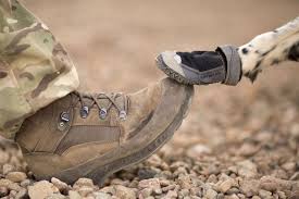 Military Working Dogs Have Their Own Personal Protective Equipment Ppe To Prot Train Your Dog Not To Bark Military Working Dogs Working Dogs Military Dogs
