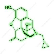 Image result for Nalmefene