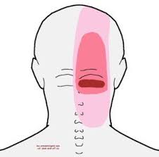 Pin On Health