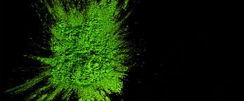 How to cultivate chlorella ? - Synoxis Algae