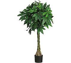 51 Money Silk Tree By Nearly Natural Qvc Com Potted Trees Artificial Foliage Money Trees
