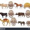 858 animal transport driver jobs available on indeed.com. 1