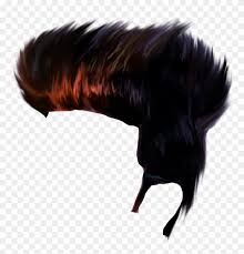 (758) photos available in this category. Hair Png Hd Background Download Hd Backgrounds Picsart Picsart Hair Png Cb Clipart 250125 Pikpng