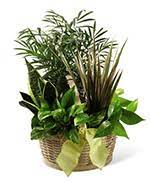 (redirected from lincoln university, pa). Flowers To Lincoln University Of Pennsylvania Lincoln University Pennsylvania Pa Same Day Delivery To Campus And Dormitories By A Local Florist In Lincoln University