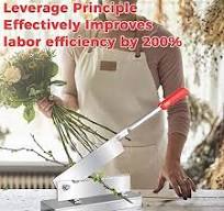 Amazon.com: Fresh Flower Stem Cutter with Heavy-duty Steel ...