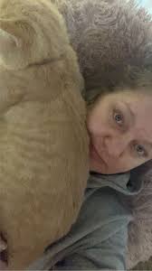 Can someone temporarily foster my cat?