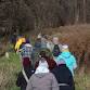 Twigs & Digs - Late Fall Foraging Walk event image