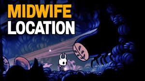 Hollow Knight How To Find Midwife And All Npc Dialogue Youtube