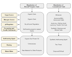 Bioethanol Production From Cassava Mill Effluents