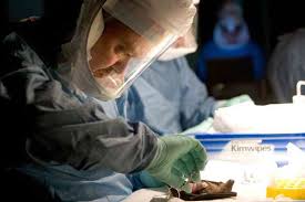Marburg virus (marv) causes marburg virus disease in humans and nonhuman primates, a form of viral hemorrhagic fever. Bnhn0fwjvlgjmm