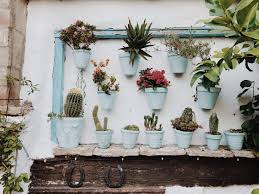 Shop for indoor plants in live plants. The Best Indoor Plants For Colourful Wall Planters Hanging Pots And More