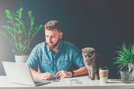 4 reviews of animal health & rehab center i have been taking my beloved pooch for his check ups for eight years now. Las Vegas Holistic Vet Nv Natural Pet Health Animal Hospital