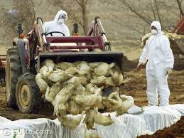 Learn all about what experts know about the disease so far including its symptoms and probability of occurring. Njjphpg94tmmym