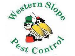 Being natives to the grand valley, dave and courtney have chosen to stay in the area to live and raise their three kids. Western Slope Pest Control Orchard Mesa Co