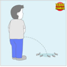 We did not find results for: Lengkap Kunci Jawaban Tebak Gambar Level 8 Terbaru Samakami Com