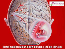 Pin On Neurologist