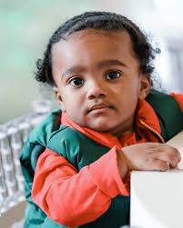 Armon Dauphin🐬 (@dauphintales_) • Instagram photos and videos