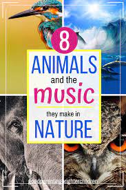 How To Be A Sleuth And Find Animals Making Music In Nature Music Activities For Kids Music And The Brain Science Activities For Kids