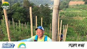 I went for the shortest distance available: Katsuo Stamina Janda Baik Ultra Home Facebook