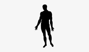 Human Body Standing Black Silhouette Vector Man Body Silhouette Free Transparent Png Download Pngkey Man and woman human body silhouettes with pointers #2100048. human body standing black silhouette