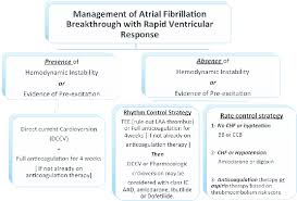 Image result for Ventricular Fibrillation Management in the Adult