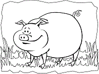 Scientists who study pigs think they are smarter than primates and even 3 year old children. 7gi14wicz0gxqm