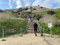 Bamboo also has excellent wicking properties. Culver City Stairs Built Up A Birthday Appetite Press Enterprise