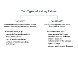 Acute renal failure (arf) — the sudden loss of kidney function — is a somewhat reversible state that must be diagnosed quickly and treated aggressively. Image Detail For Types And Causes Of Kidney Failure Medical Surgical Nursing Dialysis Nurse Nursing School Survival