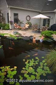 Backyard Water Feature Koi Pond Kids Can Play In Ponds Backyard Outdoor Ponds Natural Pond