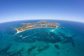 From Perth Rottnest Island Bike And Ferry Combo Tours Travel Trips Holiday Island Western Australia Trip