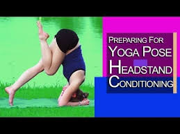 Yoga Yoga Preparing For Headstand