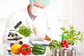 We are looking for an innovative food scientist to provide. What Are The Pros And Cons Of Choosing A Food Science Major